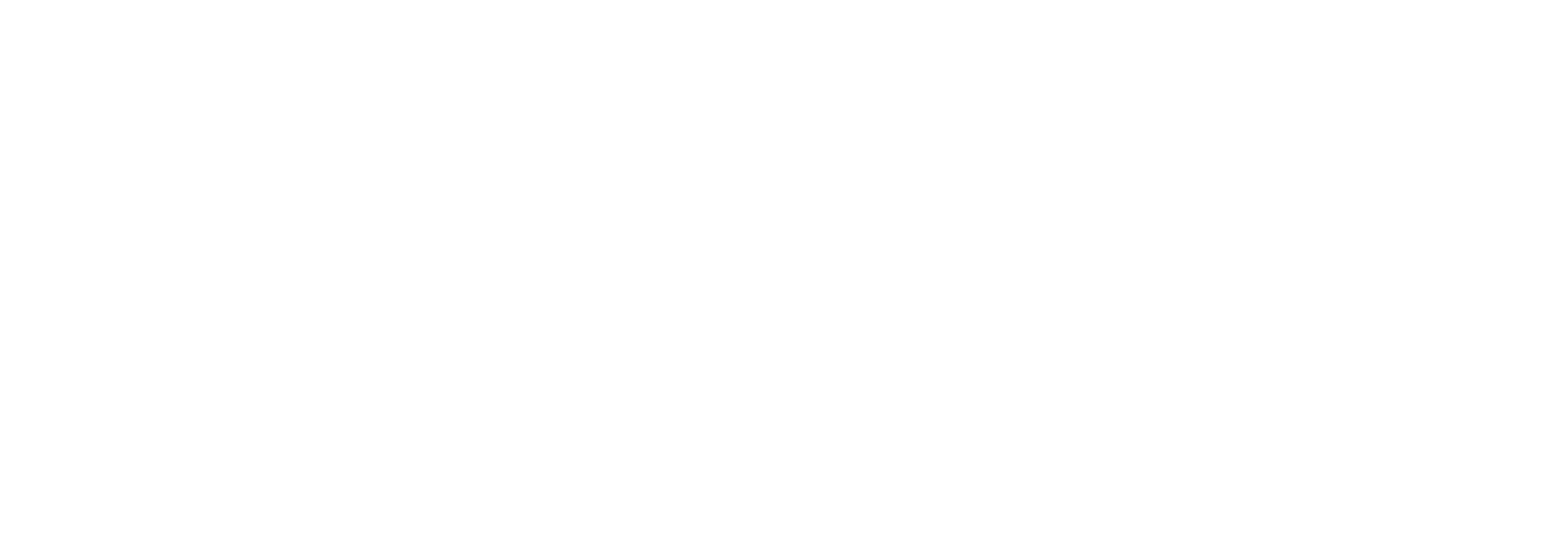 logo Bris