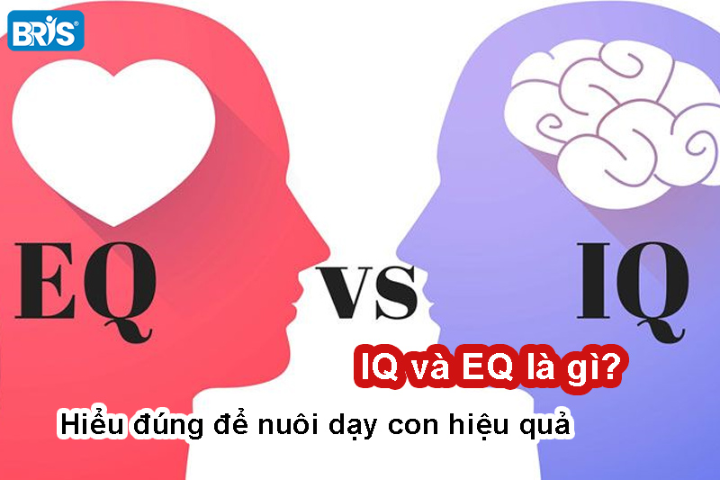 IQ và EQ là gì? Hiểu đúng để nuôi dạy con hiệu quả