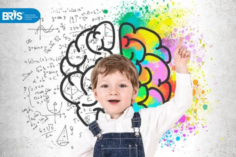 Thực phẩm giàu DHA cho trẻ - DHA rất quan trọng cho sự phát triển não bộ của trẻ