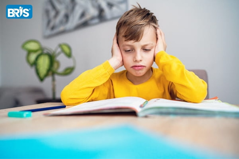 Thực phẩm giàu DHA cho trẻ - Thiếu DHA khiến trẻ dễ mất tập trung, mệt mỏi khi học