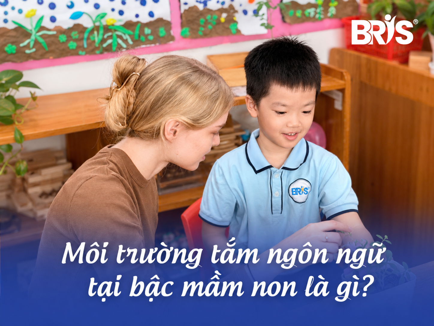 bris